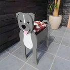 Staffordshire Bullterrier Blumentopf