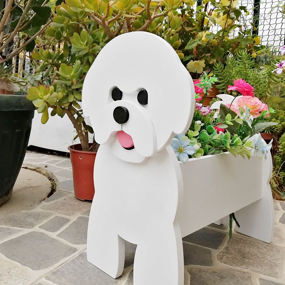 Bichon Frisé Blumentopf