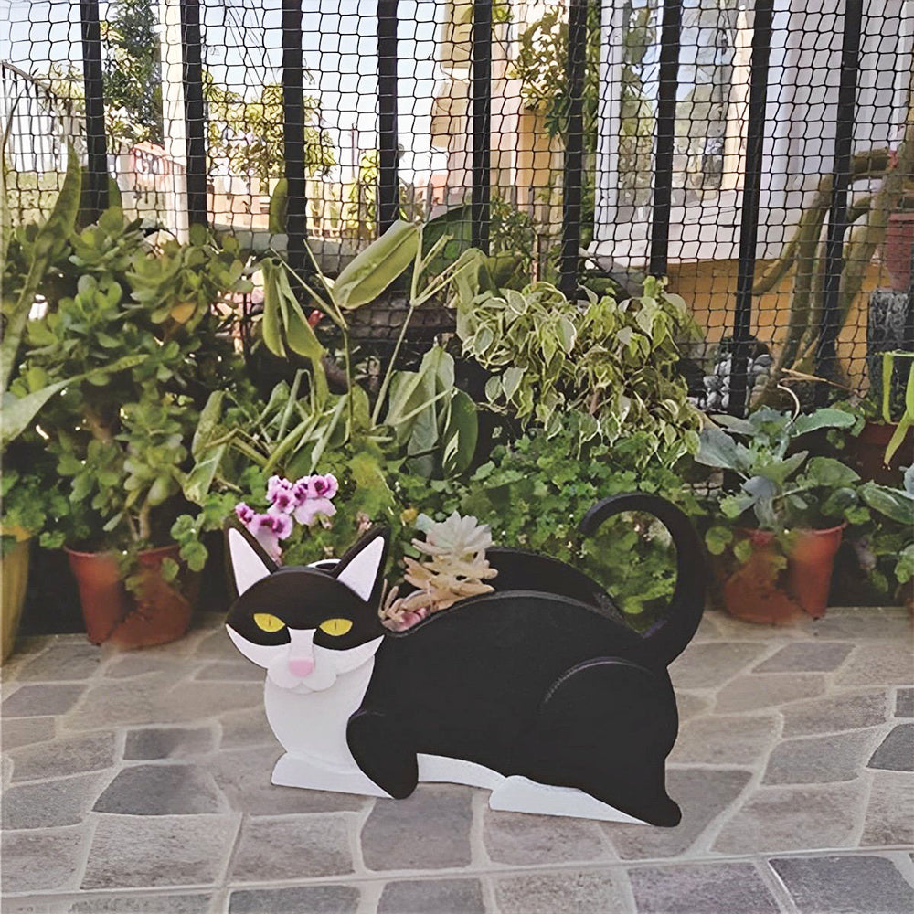 Schwarz-weiße Katze Blumentopf