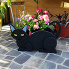 Schwarze Katze Blumentopf
