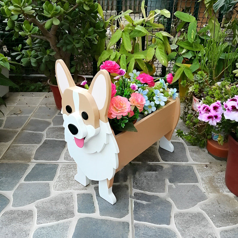 Corgi Blumentopf