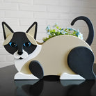 Siamkatze Blumentopf